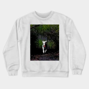 Rougarou in the Swamp Crewneck Sweatshirt